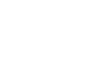 Francesco Arienzo Avvocato Icona Bianco